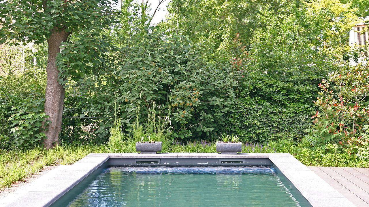 Geheel vakantieappartement, Vakantieappartement voor 2 personen met zwembad in Noordwijk, Nederlandse Noordzeekust