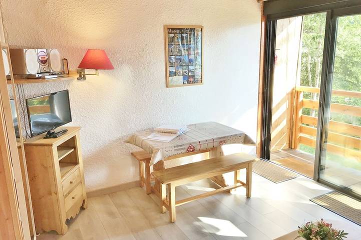 Entire apartment, Studio *** 30 m² Pra-Loup 1600 m at the foot of the slopes. Southern Alps in Pra-Loup, Uvernet-Fours