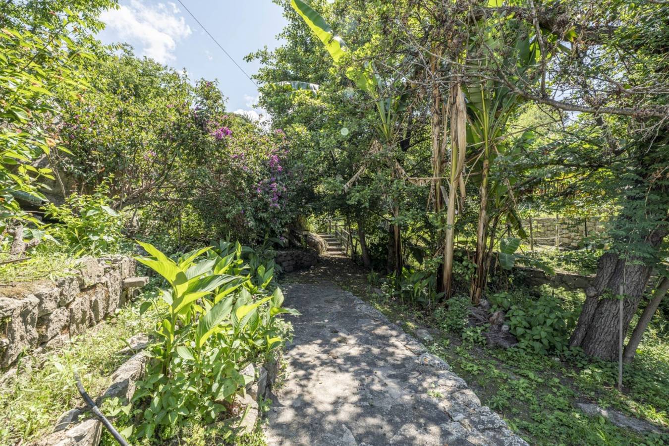 Villa pour 6 personnes avec terrasse in Sant'Andrea, Ile d'Elbe