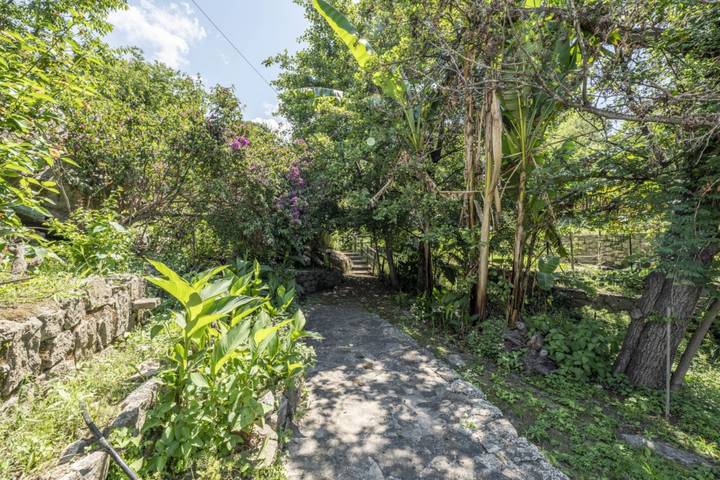 Ferienhaus für 6 Personen, mit Terrasse und Garten in Sant'Andrea - 4