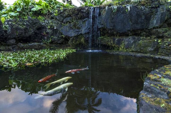 Vacation rental for 4 people, with yard and terrace in Hana