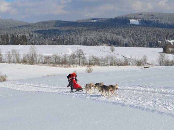 Ferienwohnung für 2 Personen, mit Garten in Clausthal-Zellerfeld - 4
