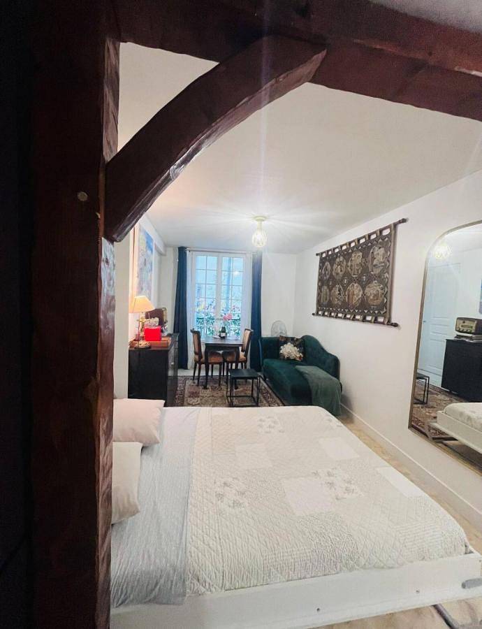 Gîte pour 2 personnes, avec vue et terrasse, animaux acceptés à Loches - 4