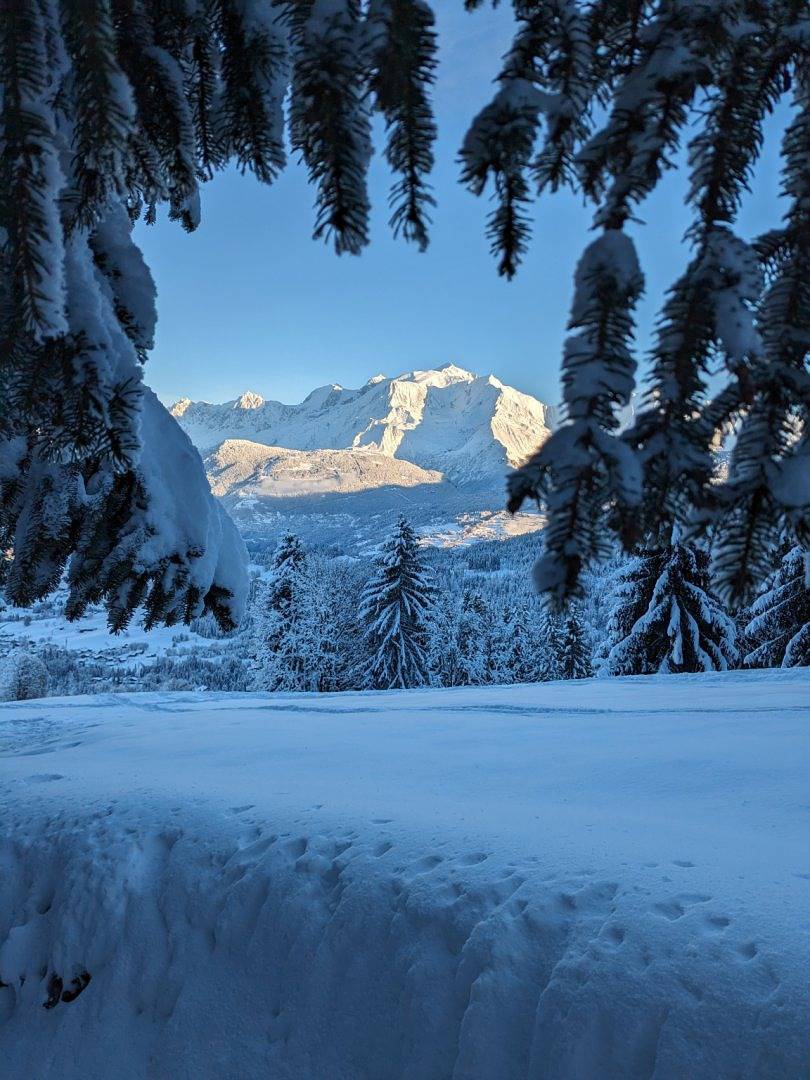 Espace salon et chambre 35 m² in Cordon, Pays du Mont-Blanc