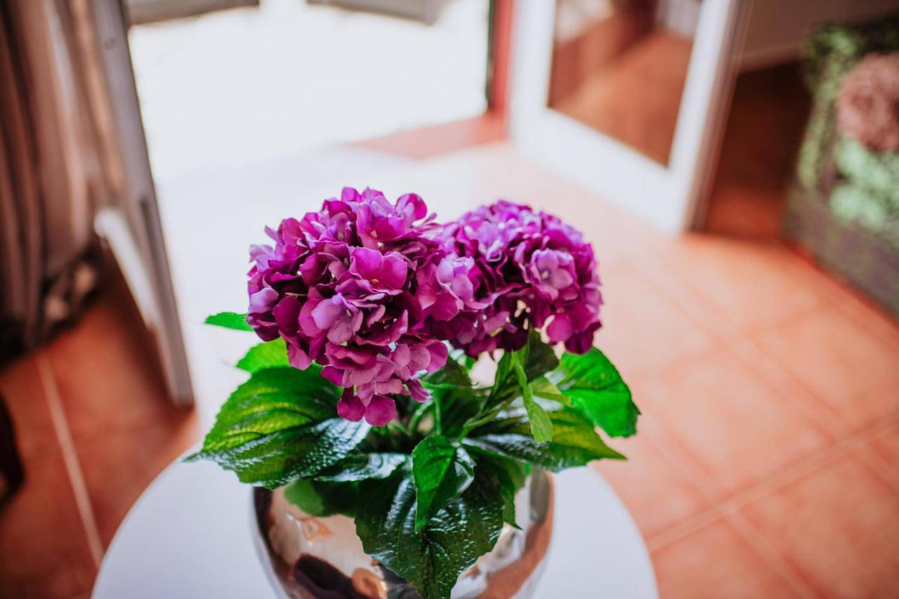 Villa Amore Accommodation by Amazing Madeira in Paul Do Mar, Madeira