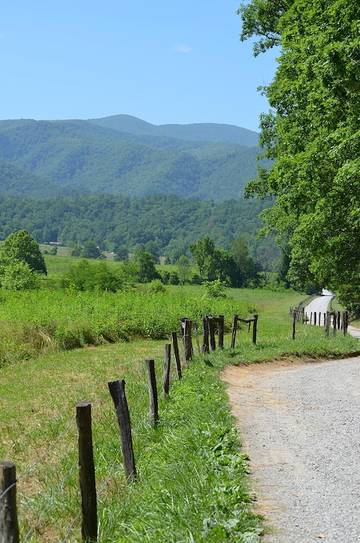 Log Cabin for 8 Guests in Cosby (TN), Cocke County, Picture 3