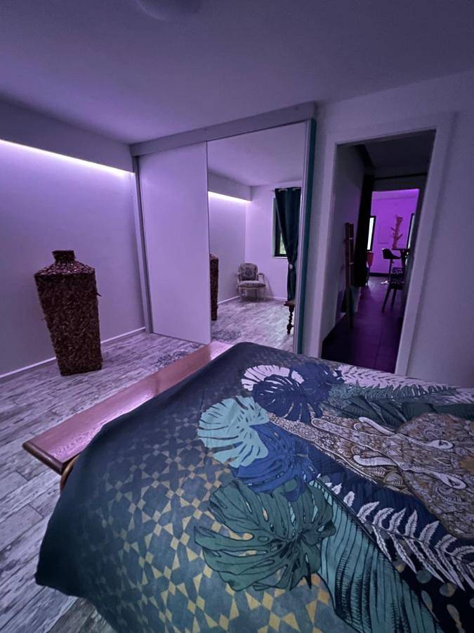 Gîte pour 4 personnes, avec jardin à Wingen-sur-Moder - 3