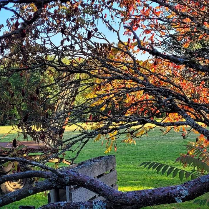 Location de vacances pour 2 personnes, avec jardin dans Parc naturel régional de la Haute Vallée de Chevreuse - 3