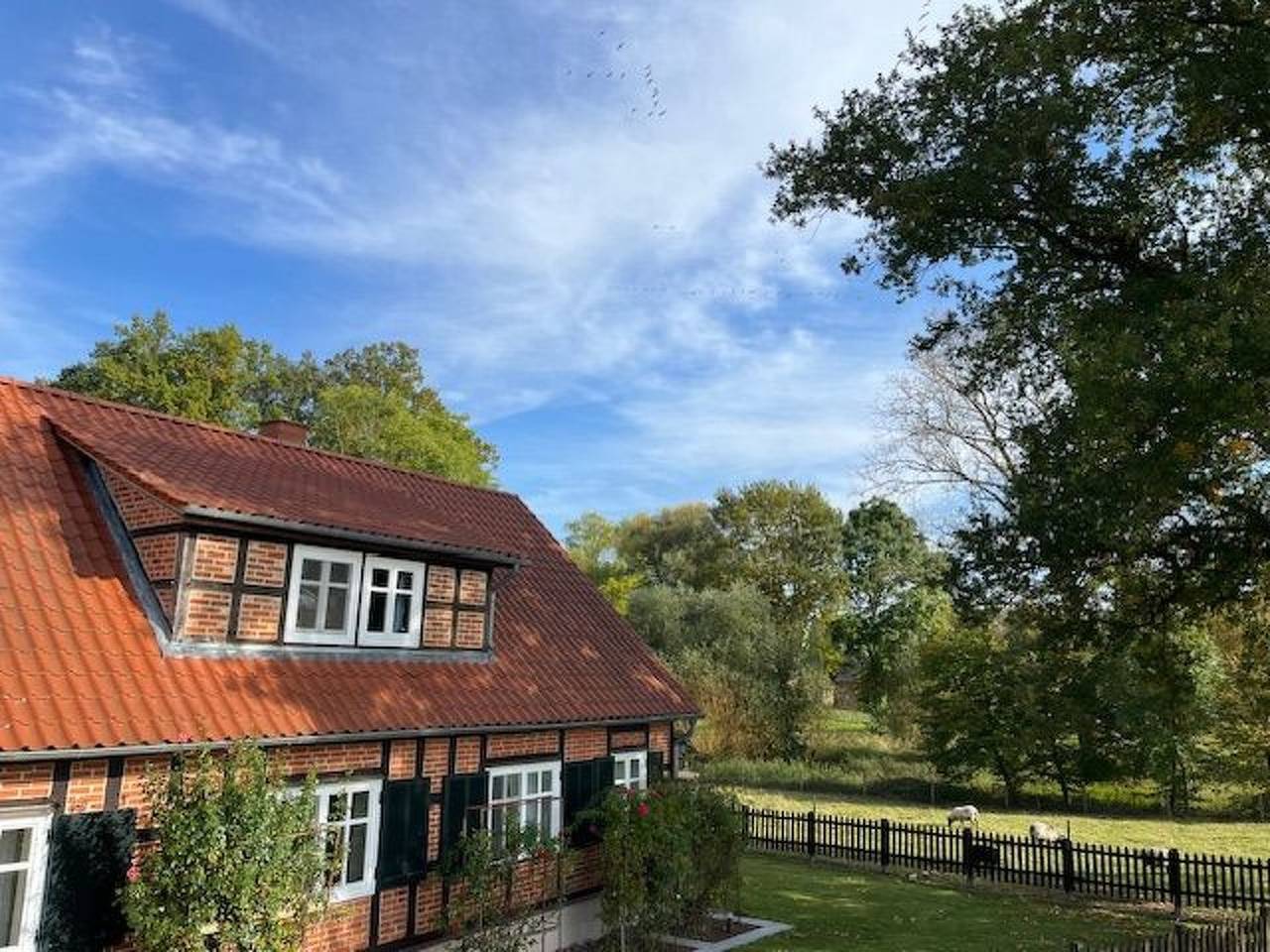 Haus Elbrose inmitten von Rosen mit Elbdeichzugang in Lenzerwische, Prignitz