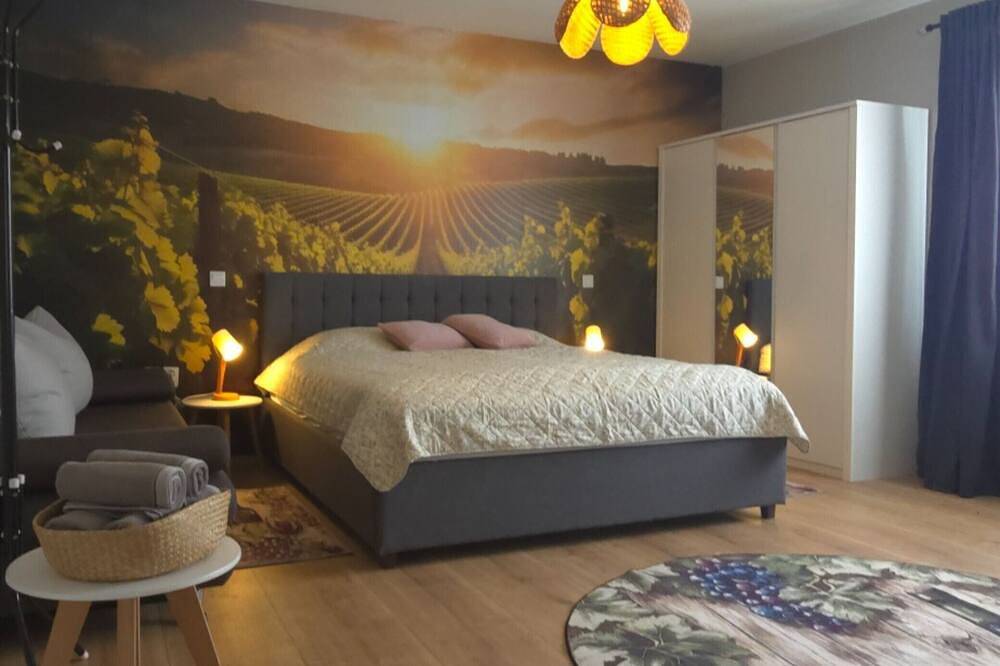 Holiday Home Thesaurum - Four Bedroom Holiday Home with Swimming Pool in Osijek-Baranja