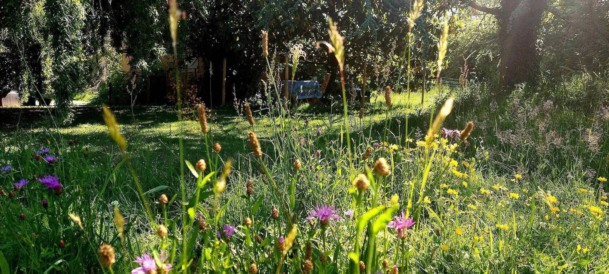 les Visiteurs, foto 8