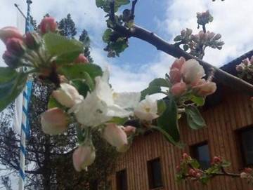 Ferienwohnung für 4 Personen in Schliersee, Bayerische Alpen, Bild 2