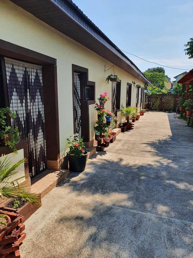 Maison d’hôte pour 3 personnes, avec Terrasse ainsi que Jardin et Vue dans Constanța