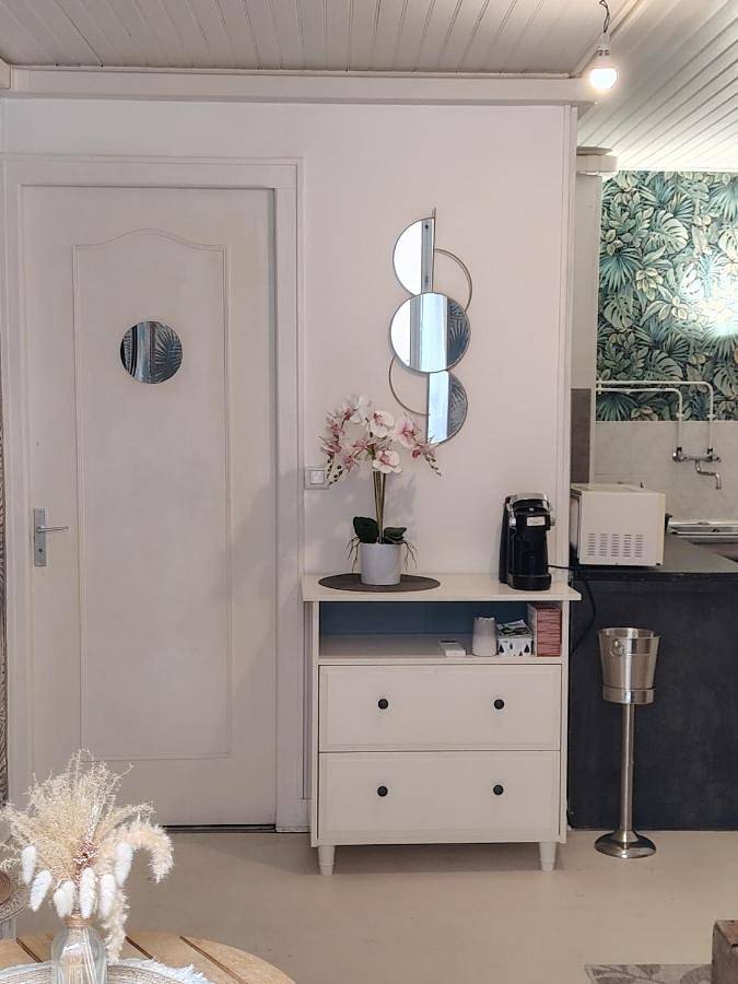Appartement entier, À louer Charmant T2 en rez-de-chaussée à Châteaumeillant in Châteaumeillant, Saint-Amand-Montrond