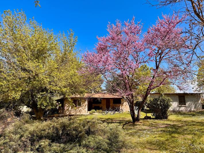 Ferienhaus für 4 Personen, mit Garten, mit Haustier in Pitigliano