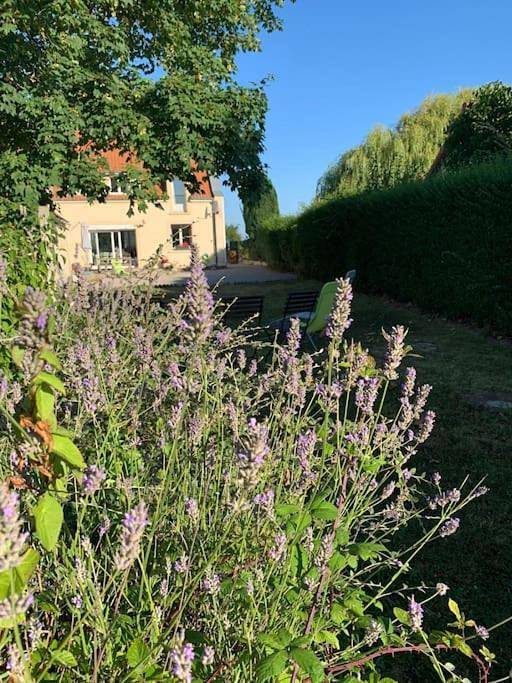 Location de vacances pour 10 personnes, avec jardin, animaux acceptés à Audinghen - 3