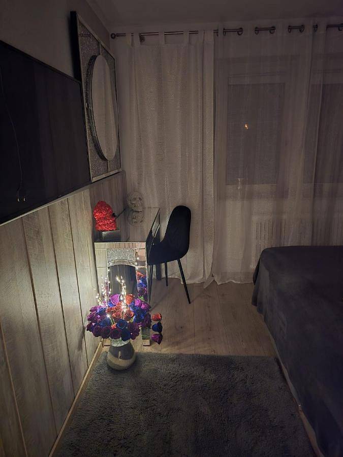 Gîte pour 4 personnes, avec balcon, animaux acceptés à Dortmund - 3