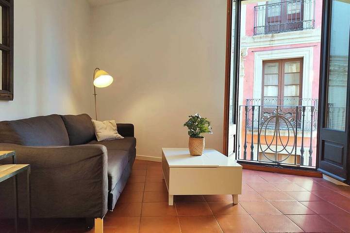 Holiday apartment for 3 people, with terrace and balcony/terrace - 1