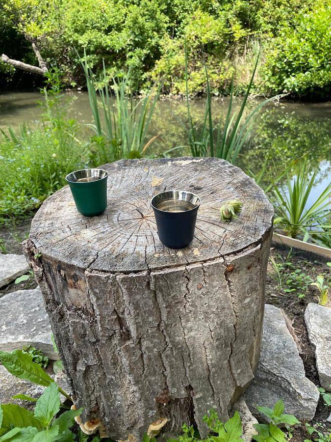 Chambre d’hôte pour 2 personnes, avec jardin ainsi que terrasse et piscine à Velleron - 4
