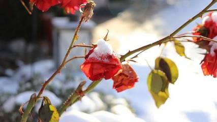 Ferienwohnung für 2 Personen in Pottenstein, Fränkische Schweiz, Bild 2