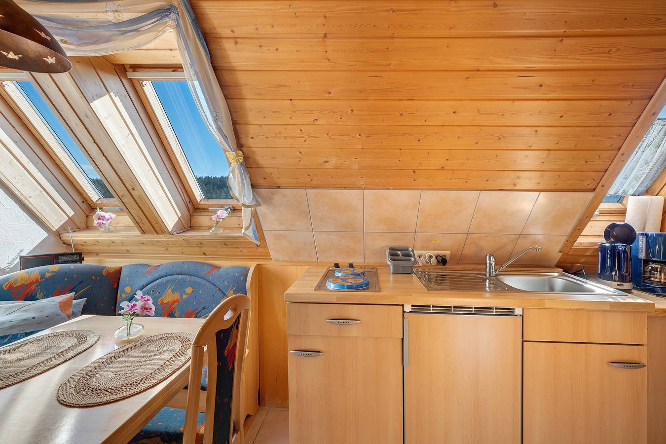 Ganze Wohnung, Haus Hölltalblick Ferienwohnung '30qm' mit Gemeinschaftsgarten, Balkon und Wi-Fi in Schönwald, Südschwarzwald
