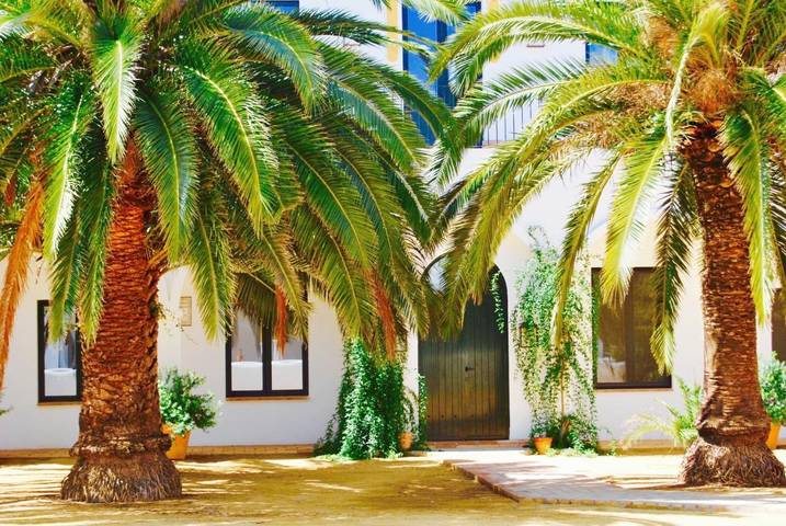 Casa rural para 5 personas, con piscina además de jardín y vistas, Se admiten mascotas en Provincia de Badajoz - 3