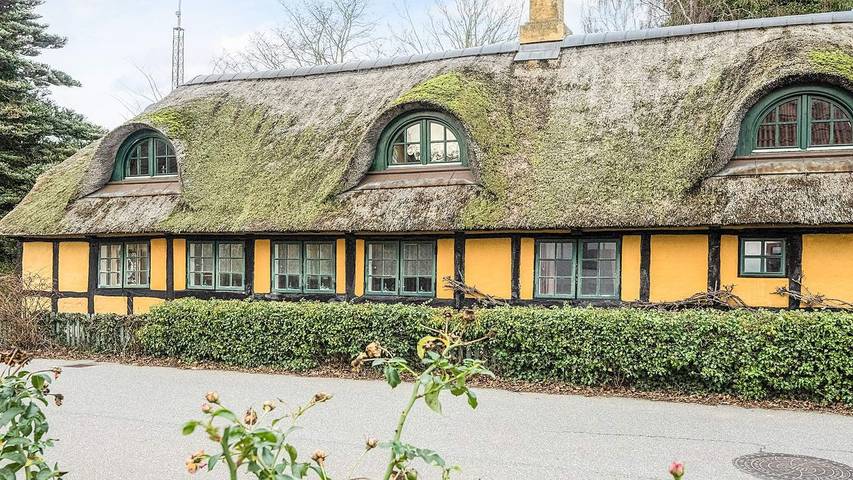 Ferieudlejning for 8 personer, med have i Fjellerup