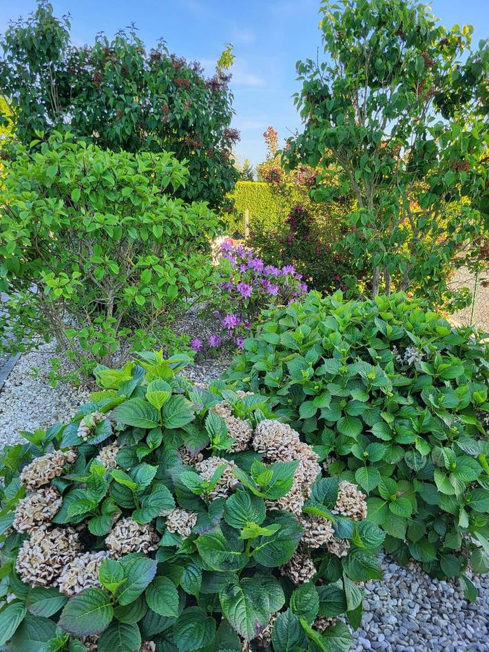 Chambre d’hôte pour 5 personnes, avec jardin dans le Calvados - 3