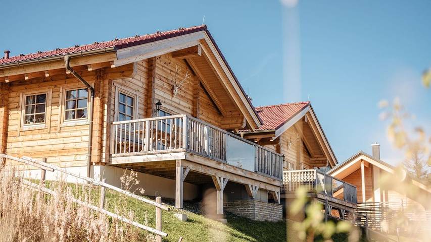 Ferienhaus für 6 Personen, mit Terrasse und Sauna sowie Whirlpool und Garten in Österreich - 2