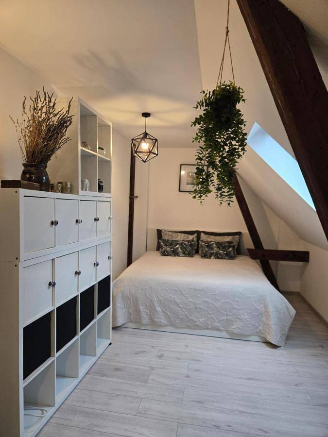 Cały apartament, One-Bedroom Apartment in Bytom, Śląsk