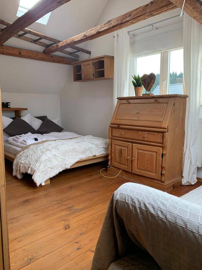 Ganze Wohnung, Ferienhaus Rennsteig-Wander-Mountainbike und Langlaufparadies in Sachsenbrunn, Rennsteig