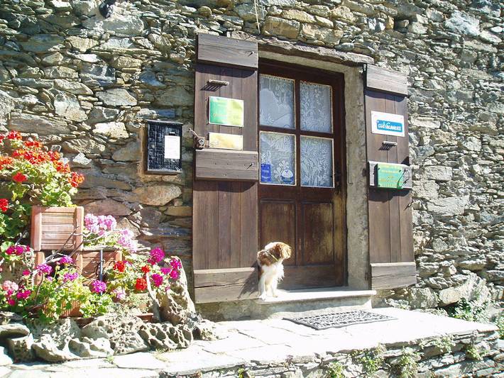 Chambre d’hôte pour 3 personnes, animaux acceptés en Corse - 4