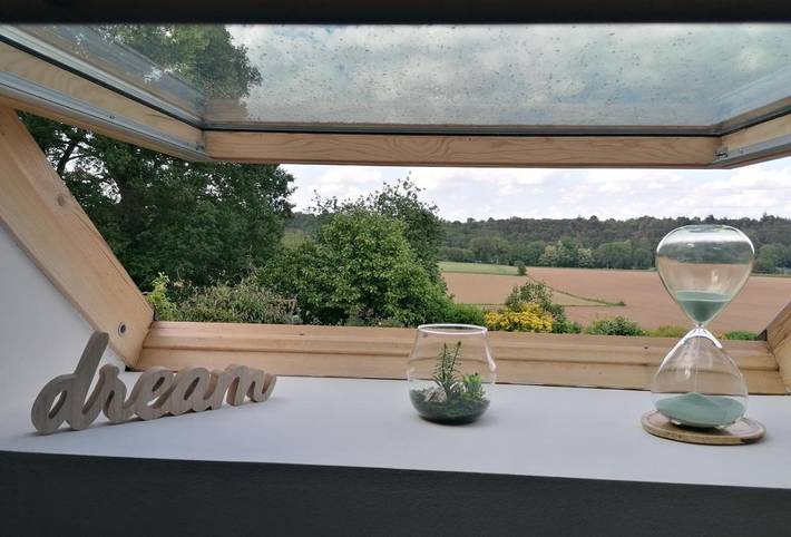Chambre d’hôte pour 2 personnes, avec vue ainsi que jardin et terrasse à Saint-Jean-Brévelay