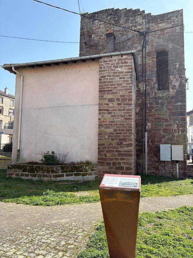 Gîte pour 6 personnes, avec jardin, animaux acceptés dans Rambervillers - 2