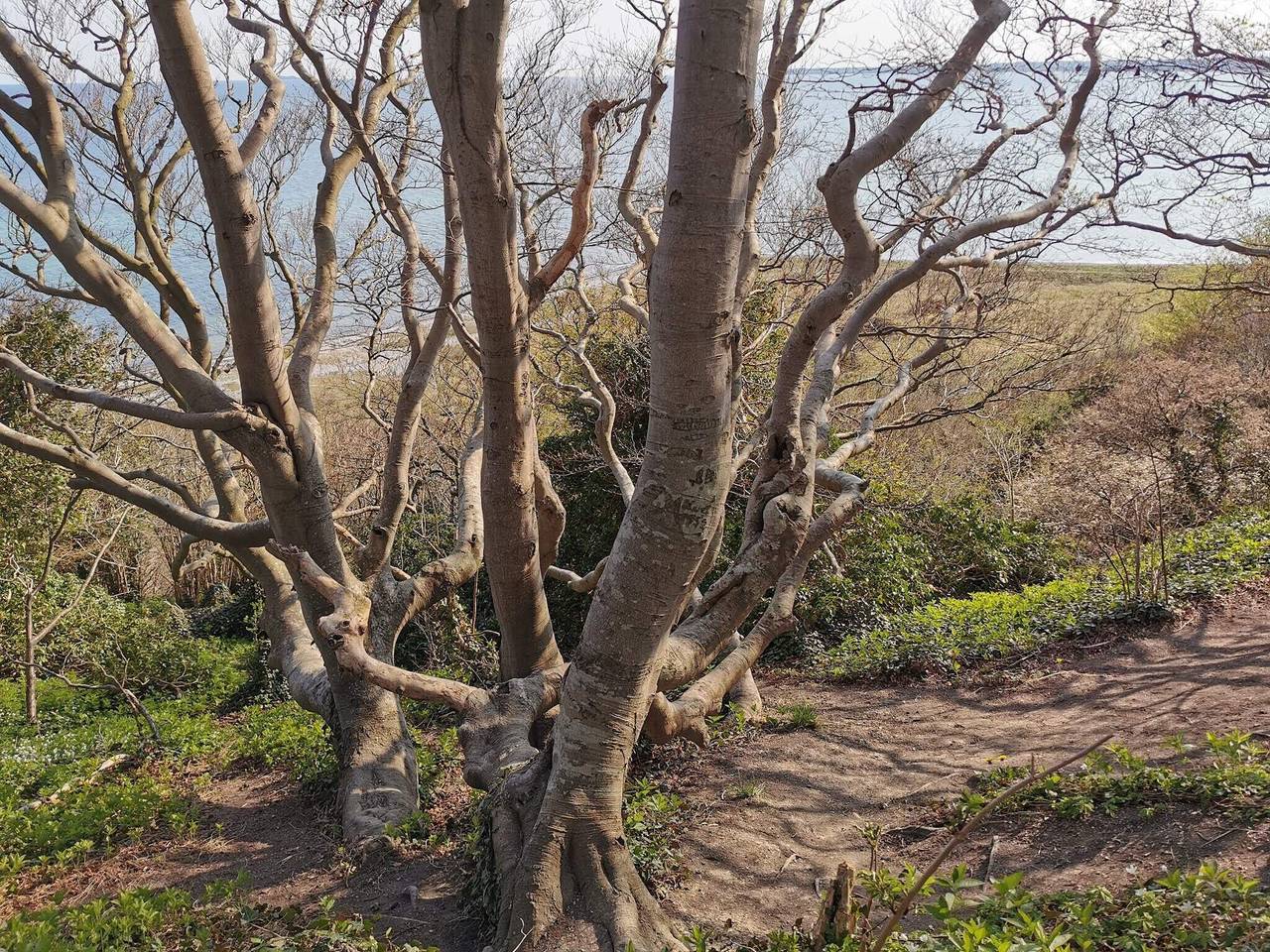12 Personen Ferienhaus in Ebeltoft-By Traum in Dråby Strand, Ebeltoft