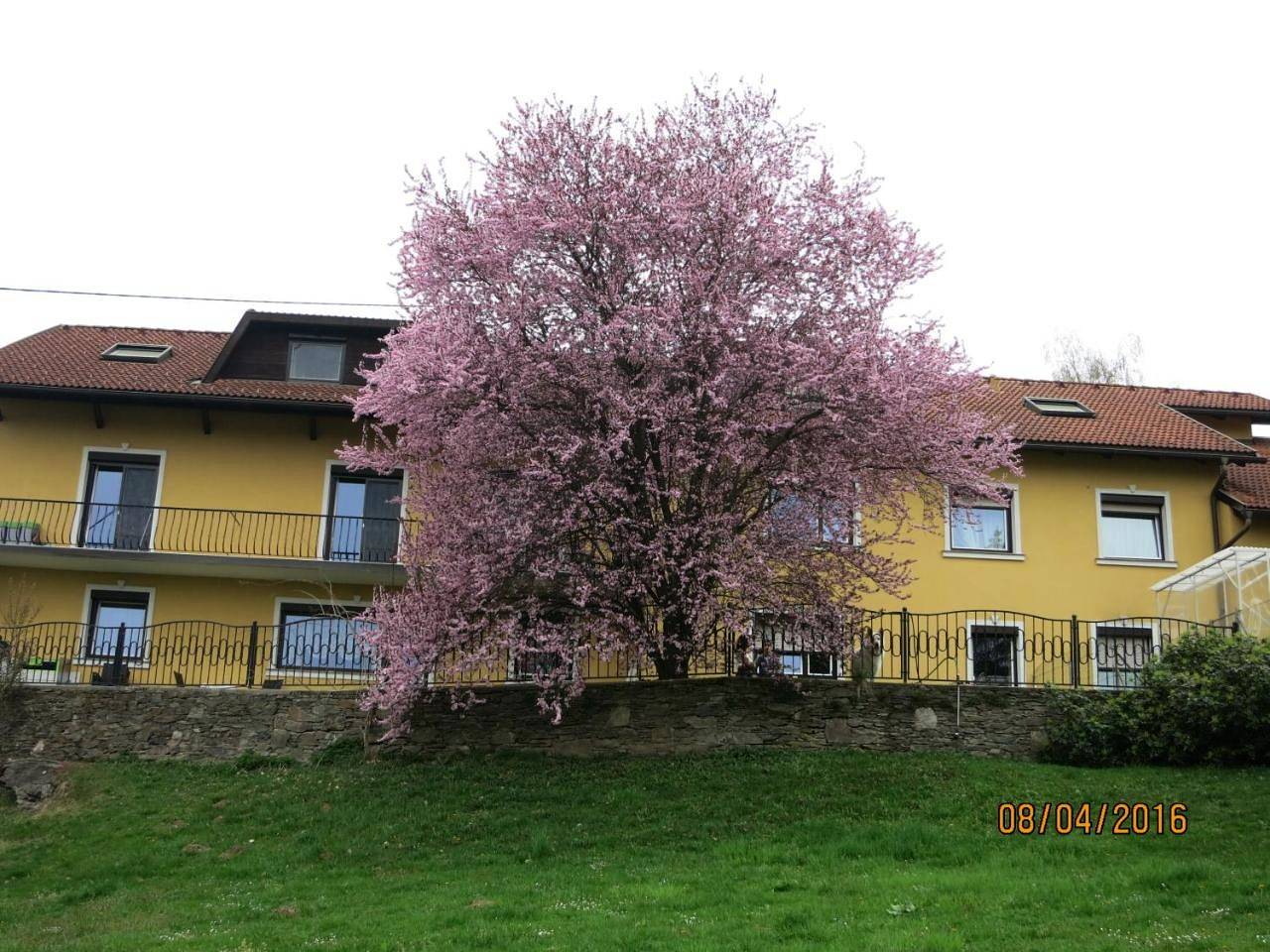 Ganze Wohnung, Apartment with Terrace in Klagenfurt am Wörthersee, Klagenfurt-Villach