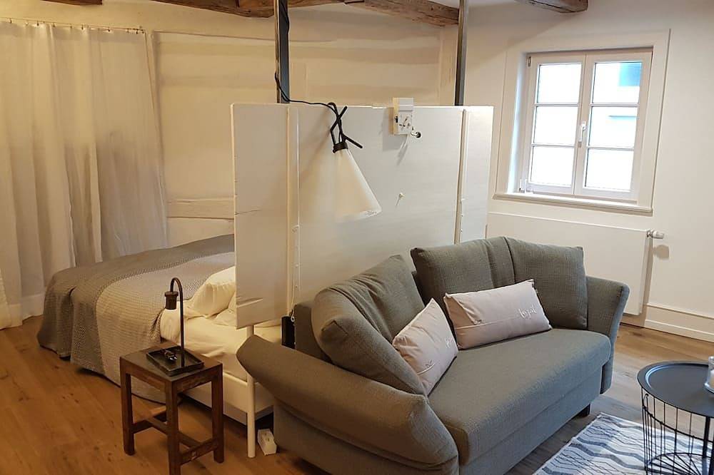 Ganze Wohnung, Altstadt-Appartement Gmünd - traumhaft in der Altstadt mit kostenlosem Parkplatz in Schwäbisch Gmünd, Erlebnisregion Ostalb region