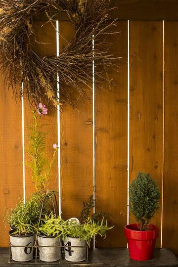 Cottage for 2 Guests in Salem (OR), Willamette Valley, Picture 3