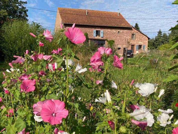 Gîte pour 6 personnes, avec jardin et terrasse
