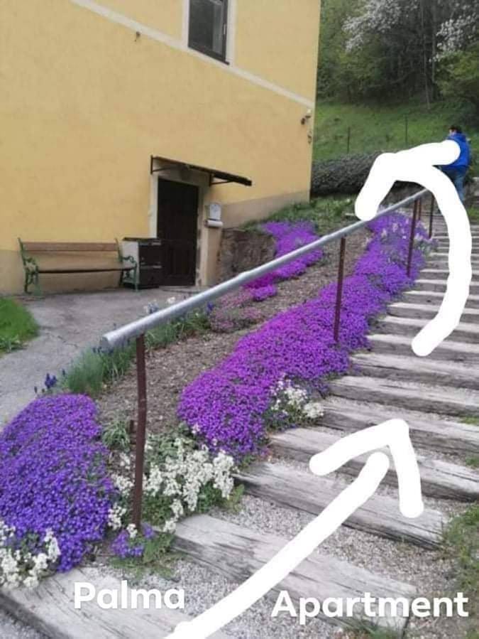Ferienwohnung für 4 Personen, mit Garten und Ausblick in Schottwien - 2