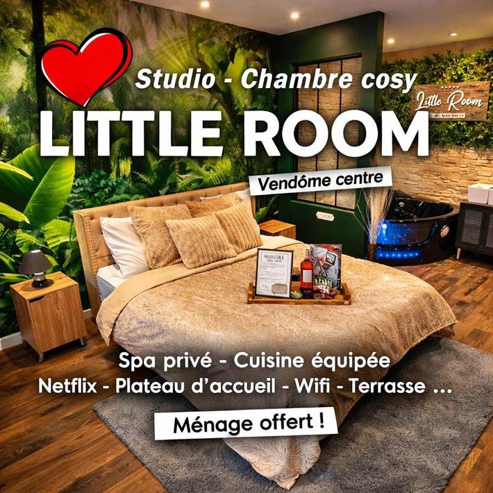 Gîte pour 2 personnes, avec jacuzzi ainsi que terrasse et jardin à Vendôme