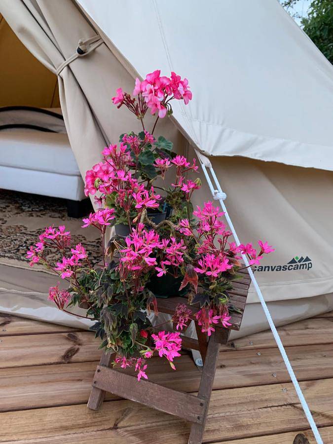 Glamping Ponsa in Pirkanmaa