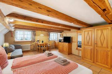 Studio für 3 Personen, mit Garten und Sauna in Mittlerer Schwarzwald