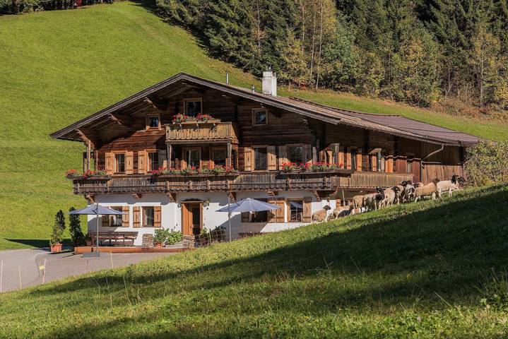 Ferienwohnung für 4 Personen, mit Balkon und Garten im Brixental