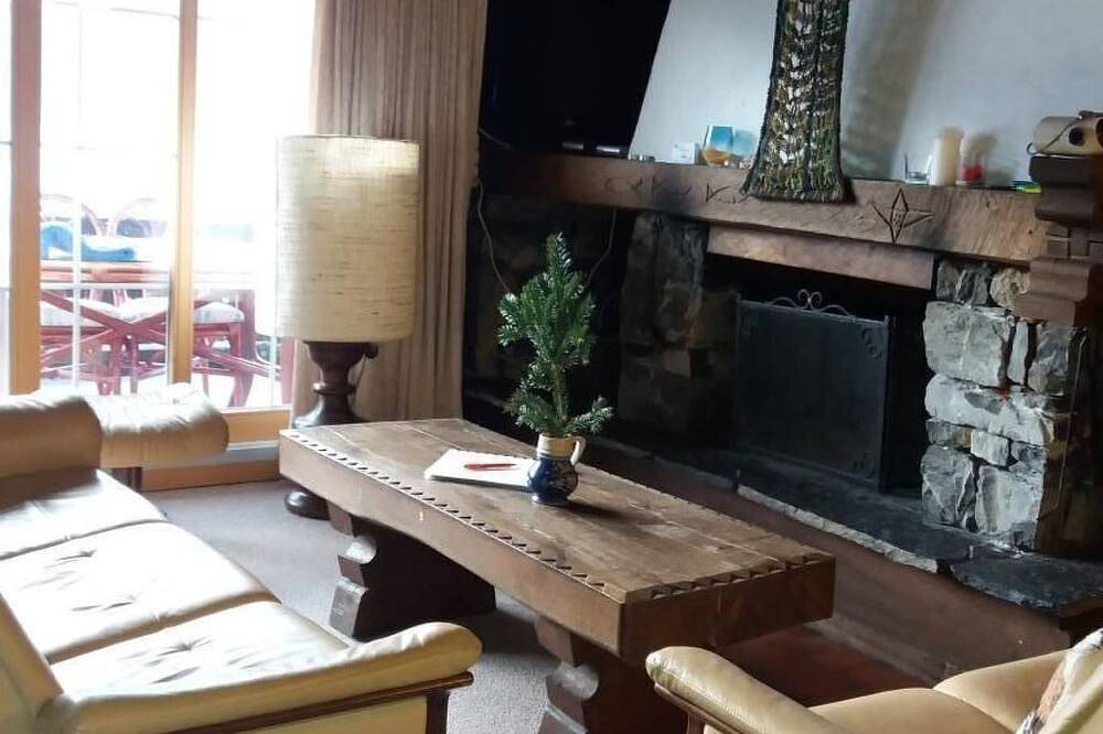 Ganze Wohnung, Chalet Holzwurm in Oberried am Brienzersee, Verwaltungskreis Interlaken-Oberhasli