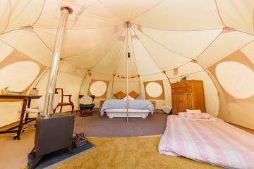Camping für 4 Personen in Ipplepen, Devon, Bild 4