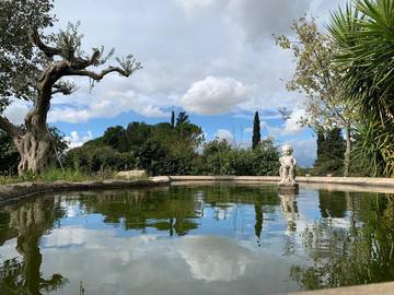 Chambre d’hôte pour 2 personnes, avec vue et jardin, animaux acceptés à Chiaramonte Gulfi