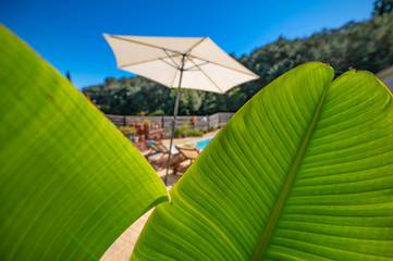 Huisje Aan Zee voor 7 Personen in Corfu, Griekenland, Afbeelding 3