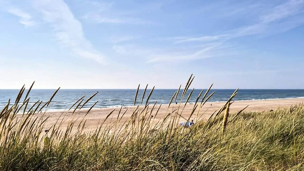 Ferienhaus für 6 Personen (44 m²) in Ringkøbing in Søndervig, Holmsland Klit