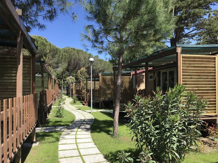 Ferienhaus für 5 Personen, mit Kinderpool und Terrasse sowie Garten in Marina di Bibbona - 3